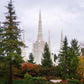 Portland Temple Forest Through The Trees