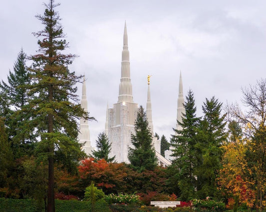 Portland Temple Forest Through The Trees Gallery Wrap