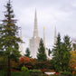 Portland Temple Forest Through The Trees