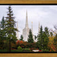 Portland Temple Forest Through The Trees