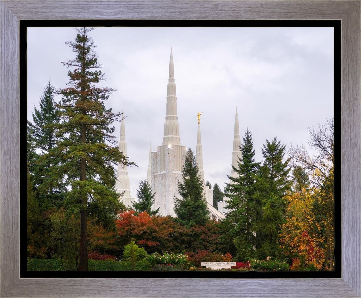 Portland Temple Forest Through The Trees Gallery Wrap