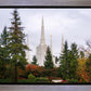 Portland Temple Forest Through The Trees