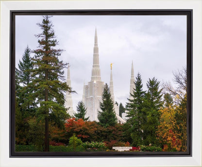 Portland Temple Forest Through The Trees