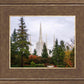 Portland Temple Forest Through The Trees