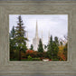 Portland Temple Forest Through The Trees