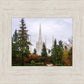 Portland Temple Forest Through The Trees