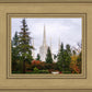 Portland Temple Forest Through The Trees