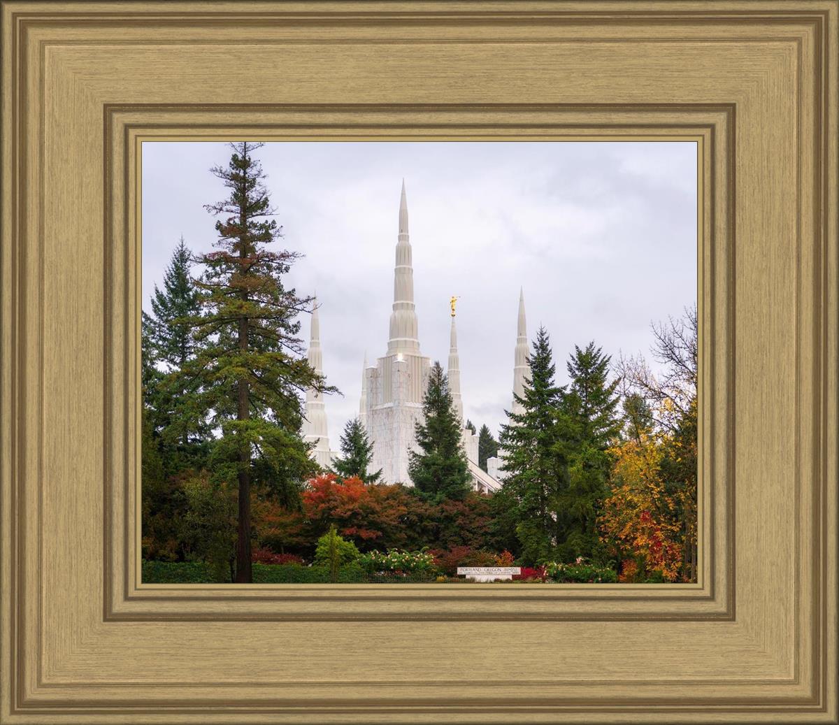Portland Temple Forest Through The Trees