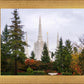 Portland Temple Forest Through The Trees