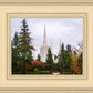 Portland Temple Forest Through The Trees