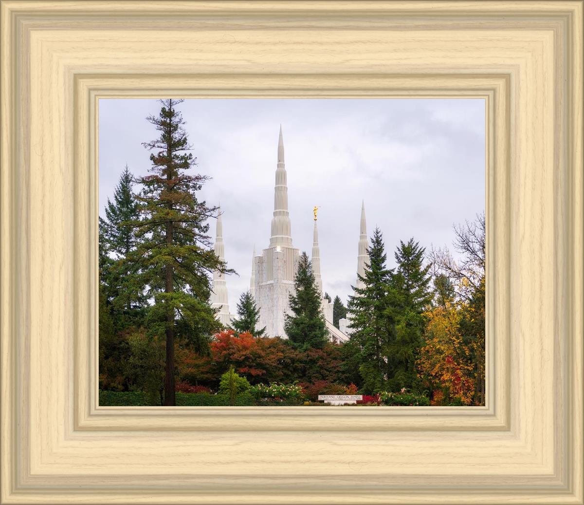 Portland Temple Forest Through The Trees