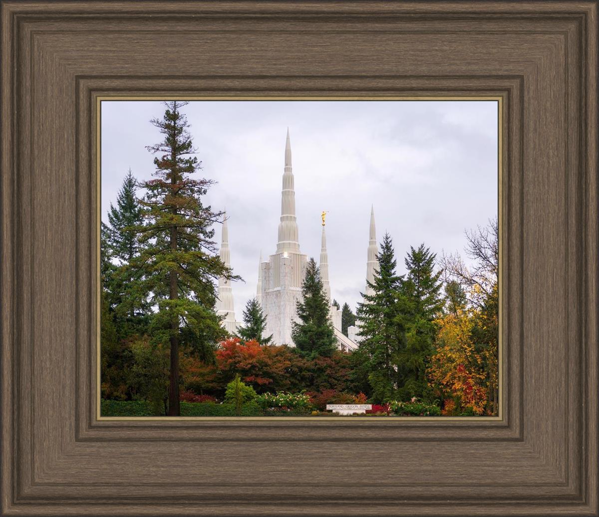 Portland Temple Forest Through The Trees