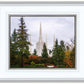 Portland Temple Forest Through The Trees
