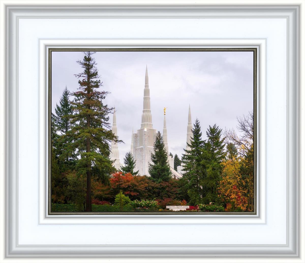 Portland Temple Forest Through The Trees