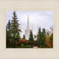 Portland Temple Forest Through The Trees