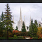 Portland Temple Forest Through The Trees