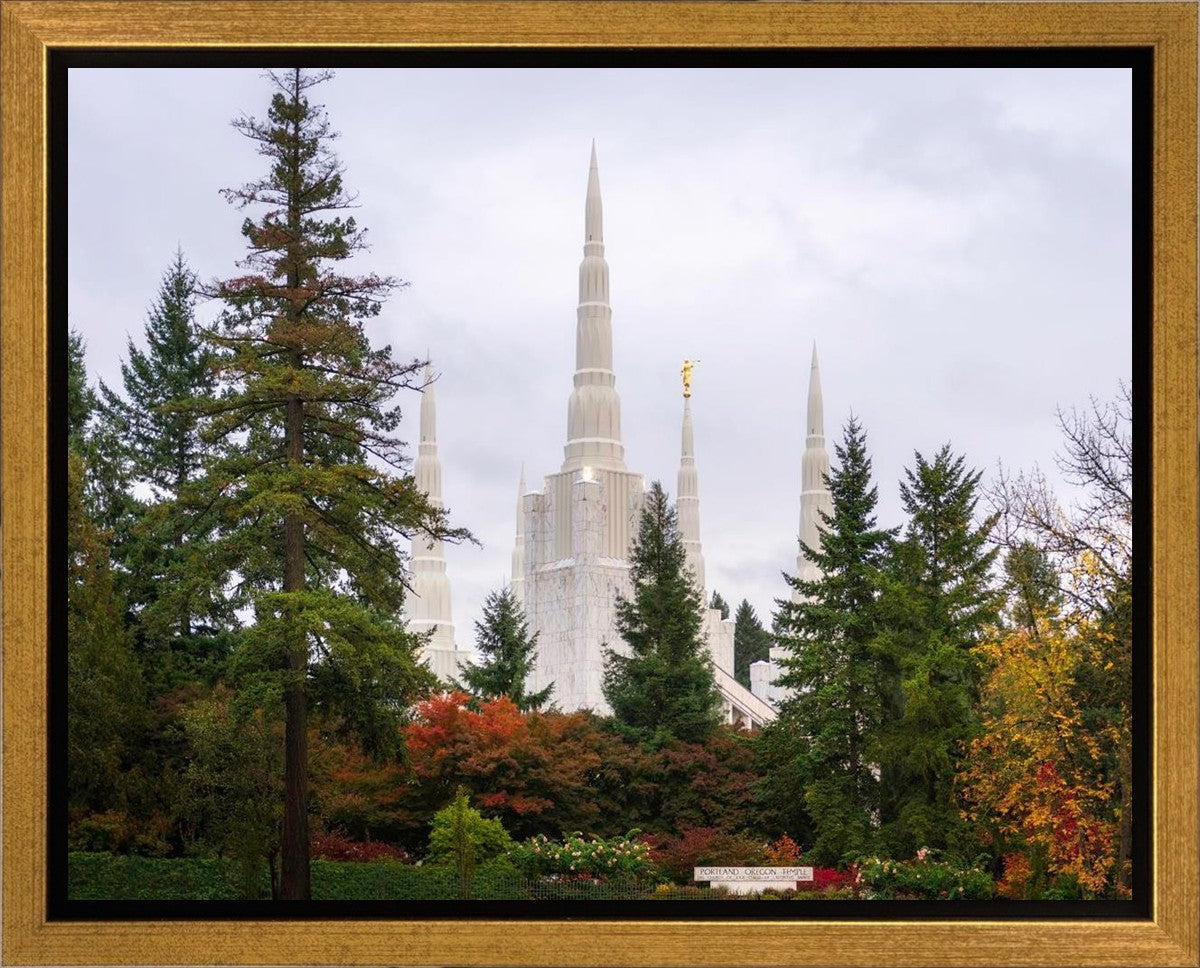 Portland Temple Forest Through The Trees Gallery Wrap