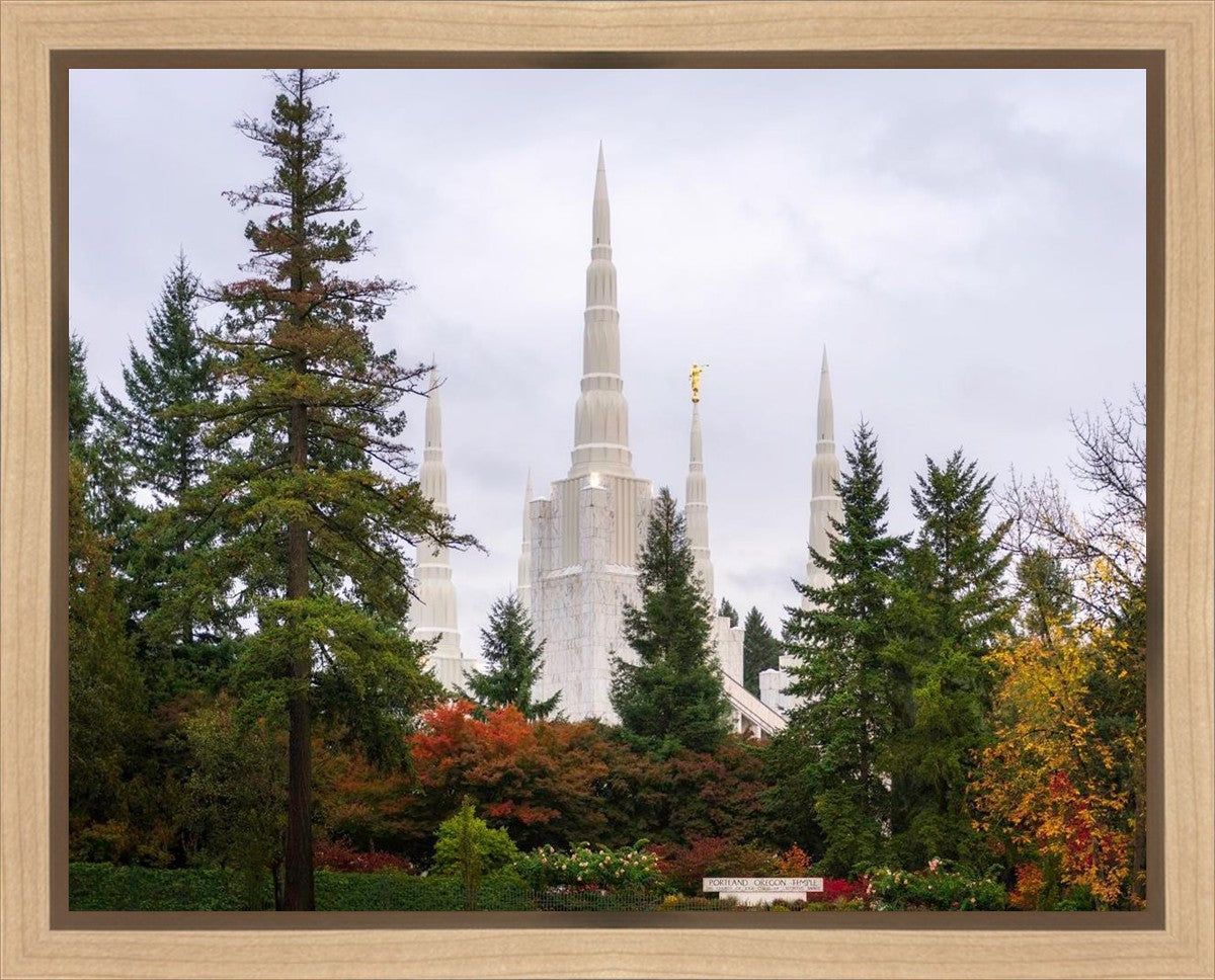 Portland Temple Forest Through The Trees Gallery Wrap