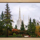 Portland Temple Forest Through The Trees