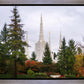 Portland Temple Forest Through The Trees