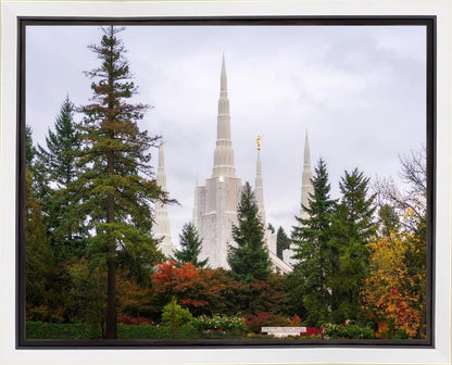 Portland Temple Forest Through The Trees