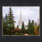 Portland Temple Forest Through The Trees