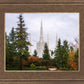 Portland Temple Forest Through The Trees