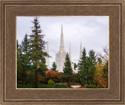 Portland Temple Forest Through The Trees
