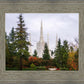 Portland Temple Forest Through The Trees