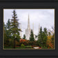 Portland Temple Forest Through The Trees