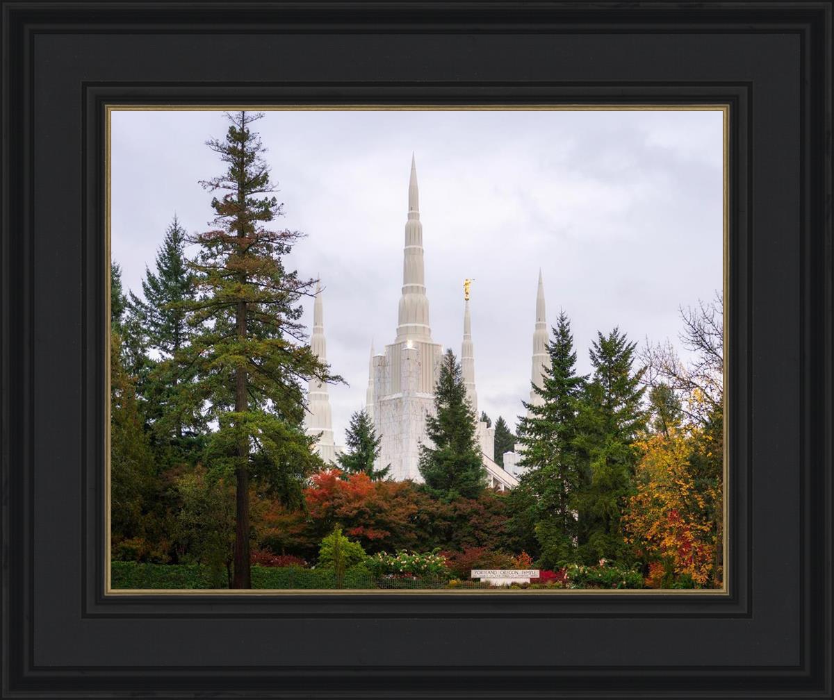 Portland Temple Forest Through The Trees
