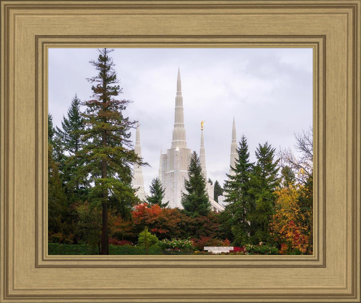 Portland Temple Forest Through The Trees