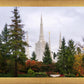 Portland Temple Forest Through The Trees