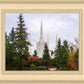 Portland Temple Forest Through The Trees