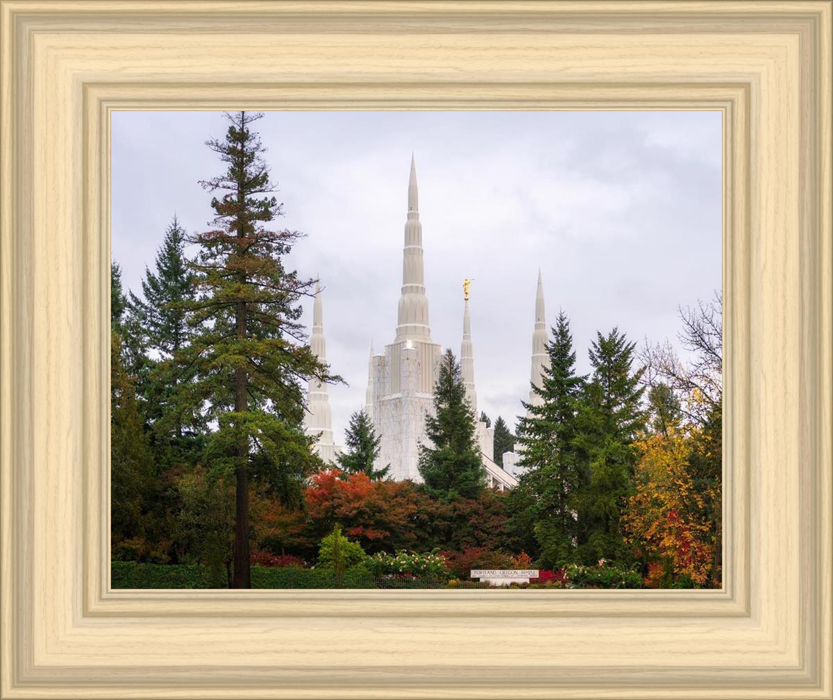 Portland Temple Forest Through The Trees