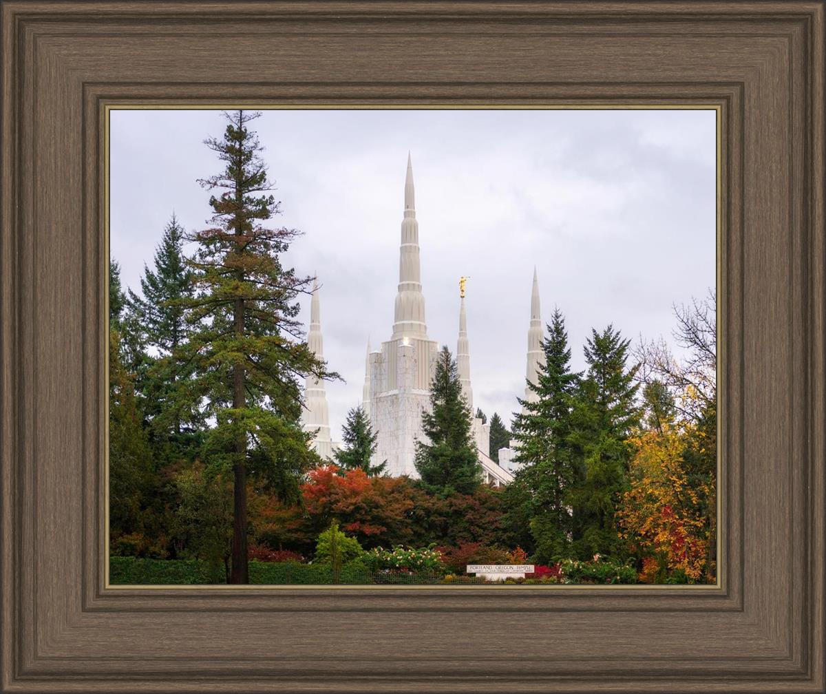 Portland Temple Forest Through The Trees