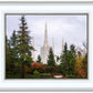 Portland Temple Forest Through The Trees