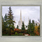 Portland Temple Forest Through The Trees