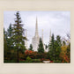 Portland Temple Forest Through The Trees