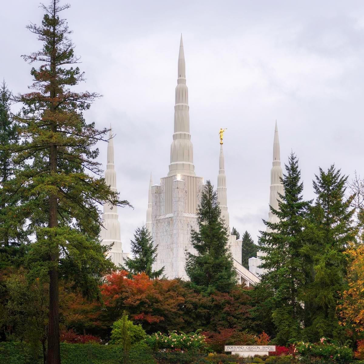 Portland Temple Forest Through The Trees Gallery Wrap