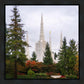 Portland Temple Forest Through The Trees