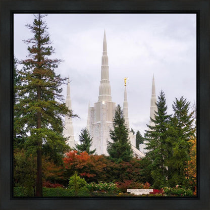 Portland Temple Forest Through The Trees