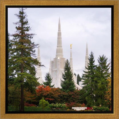 Portland Temple Forest Through The Trees