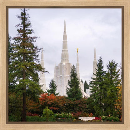 Portland Temple Forest Through The Trees