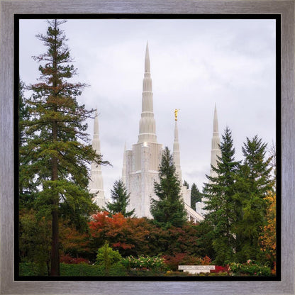 Portland Temple Forest Through The Trees