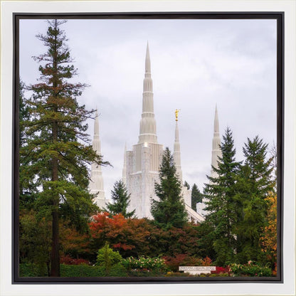 Portland Temple Forest Through The Trees