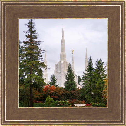 Portland Temple Forest Through The Trees