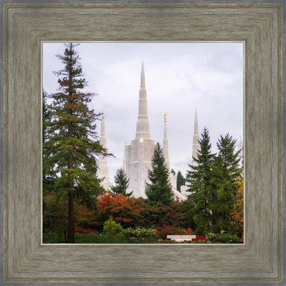 Portland Temple Forest Through The Trees