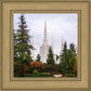 Portland Temple Forest Through The Trees