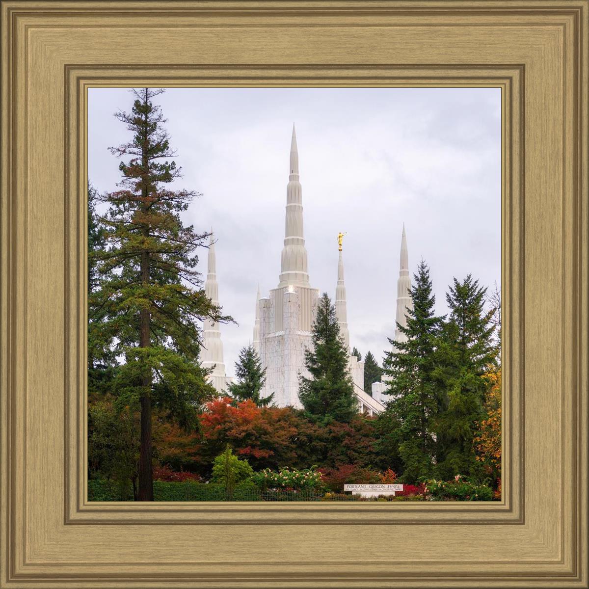 Portland Temple Forest Through The Trees